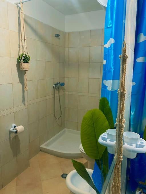 City Central Amazona Appartment Tiranë Eksteriør bilde